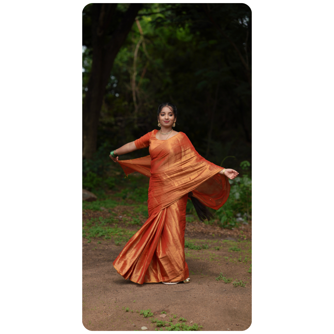 Handloom Tissue Saree With Dual Blouses