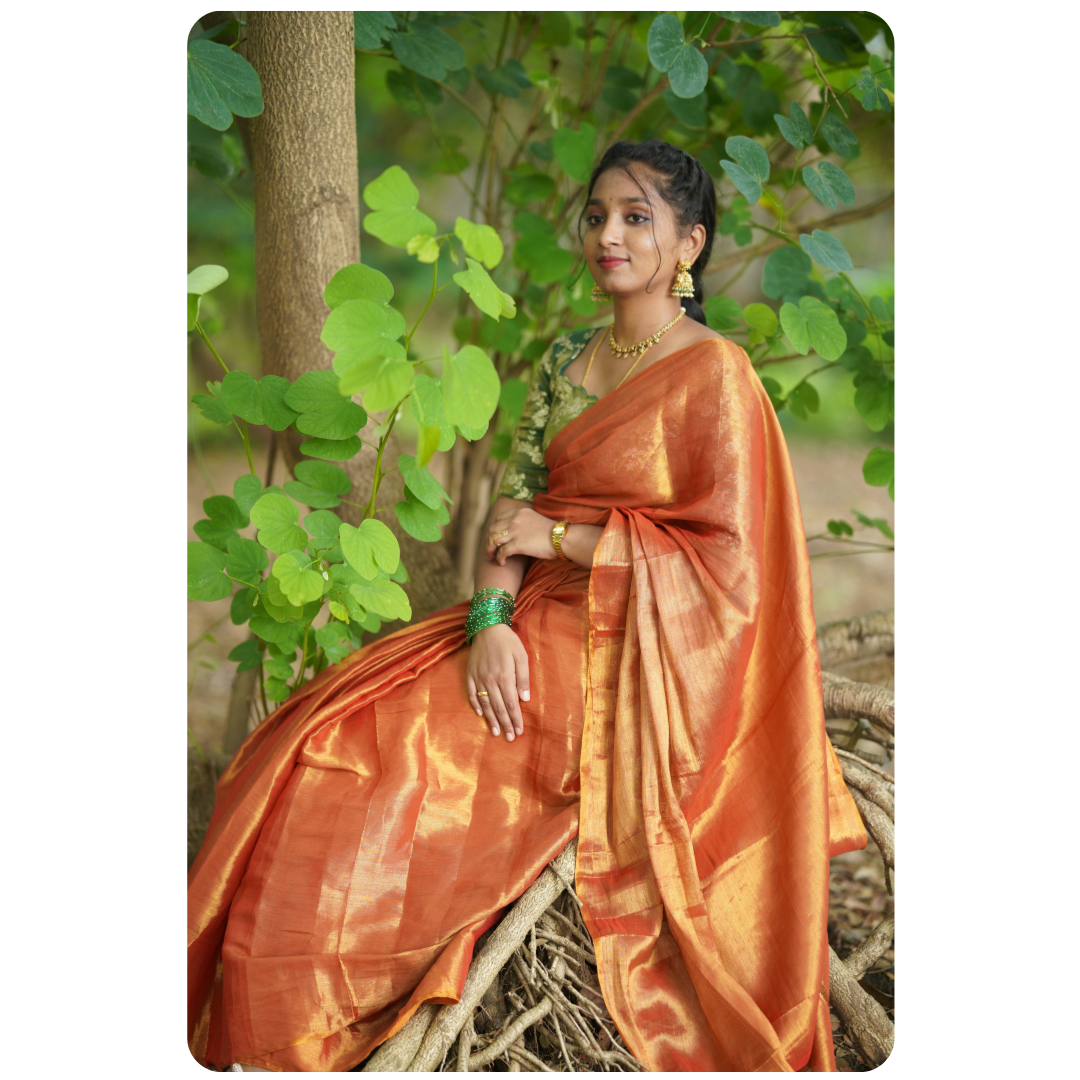 Handloom Tissue Saree With Dual Blouses