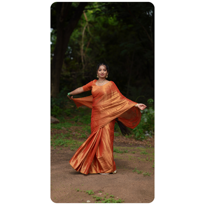 Handloom Tissue Saree With Dual Blouses