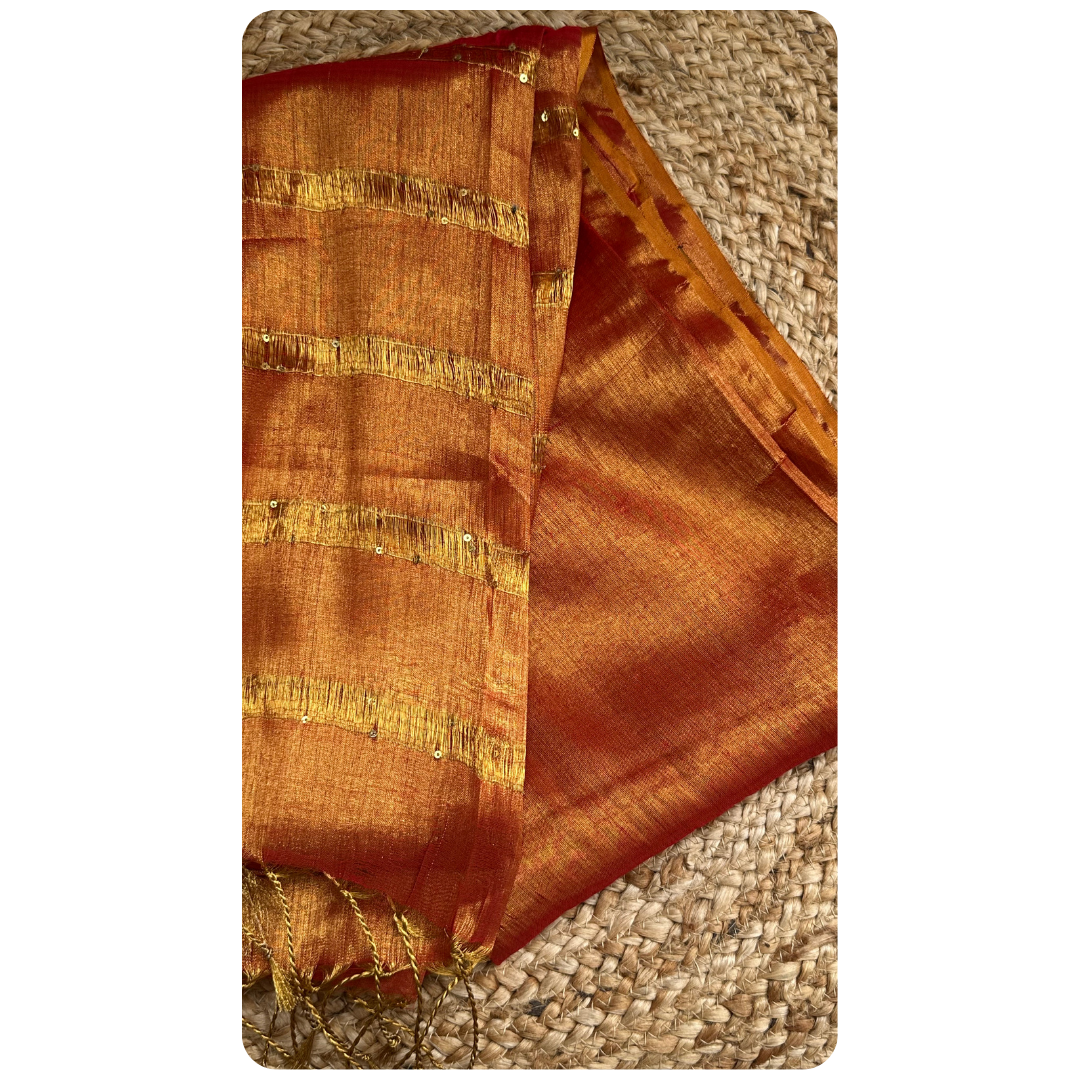 Handloom Tissue Saree With Dual Blouses